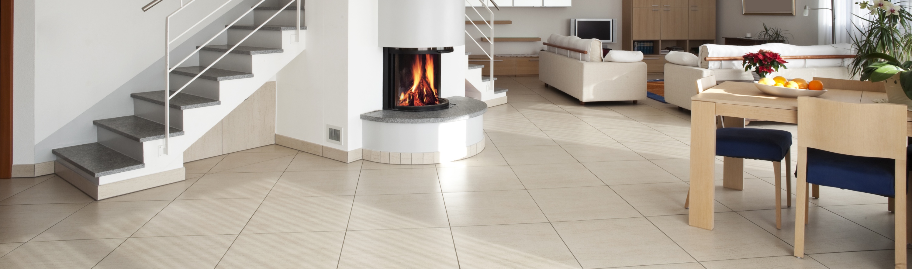 ThermioMax Banner-Large.jpg